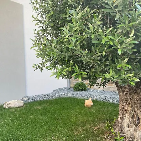 Appartement Modern Cozy Kavala
